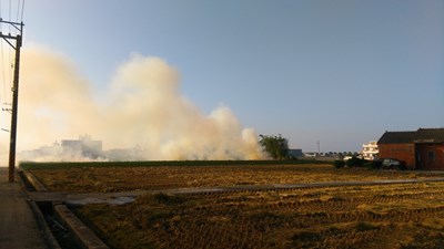 中市稻草剪段翻耕　每公頃補助1000元　